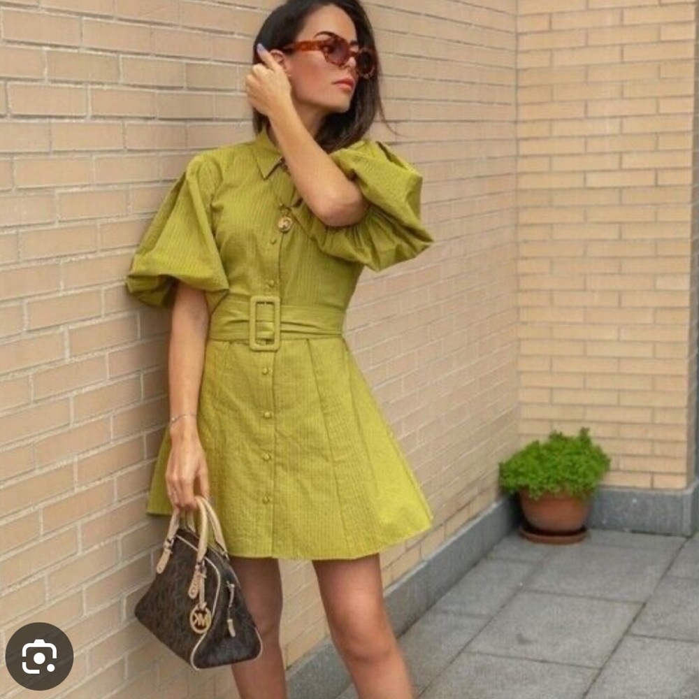 Zara Green Voluminous Sleeve Dress